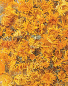 Herbal Alternatives for 50 Common Ailments Image